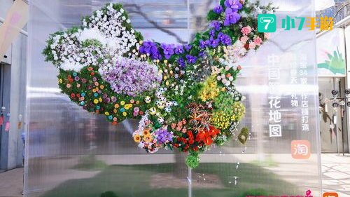 淘宝网花