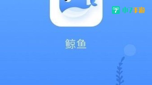 鲸鱼加速器