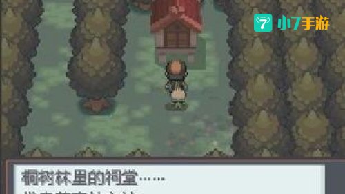 心金雪拉比